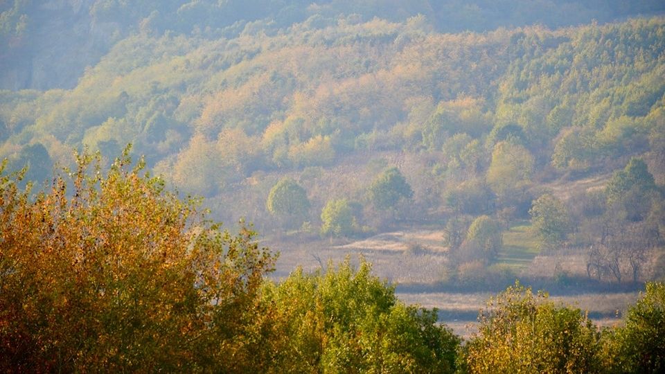 Au fost descoperite rămășitele singurului castel montan din județul Satu Mare