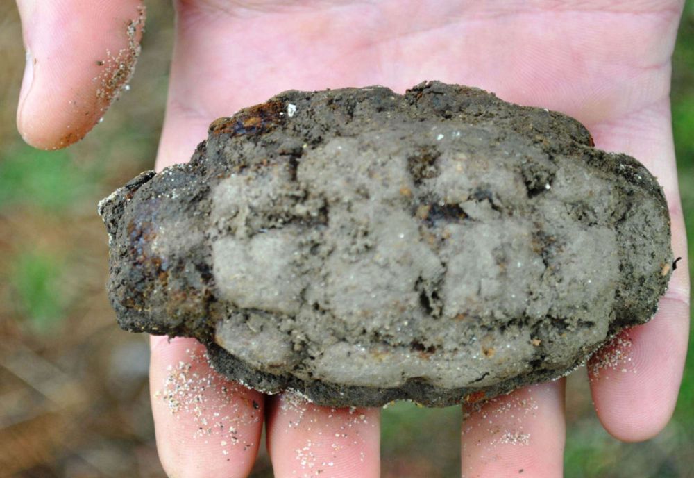 Grenadă defensivă din Primul Război Mondial, găsită în timpul unor lucrări efectuate în Satu Mare