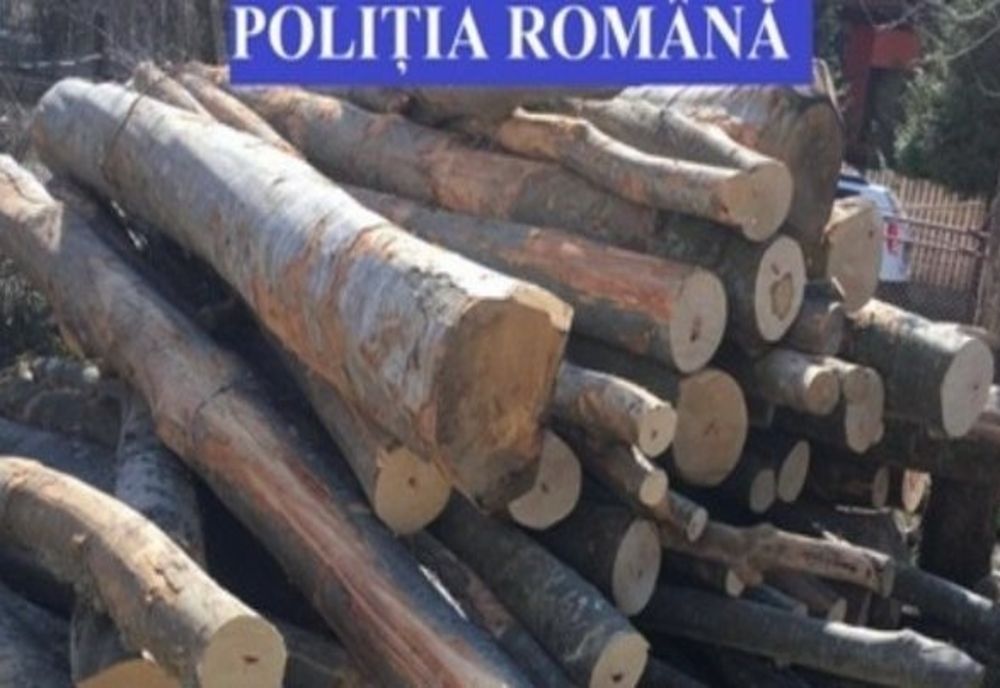 Material lemnos confiscat de polițiștii sătmăreni