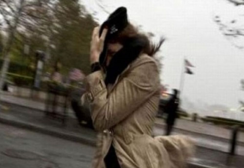 Cod galben de vânt în județul Satu Mare