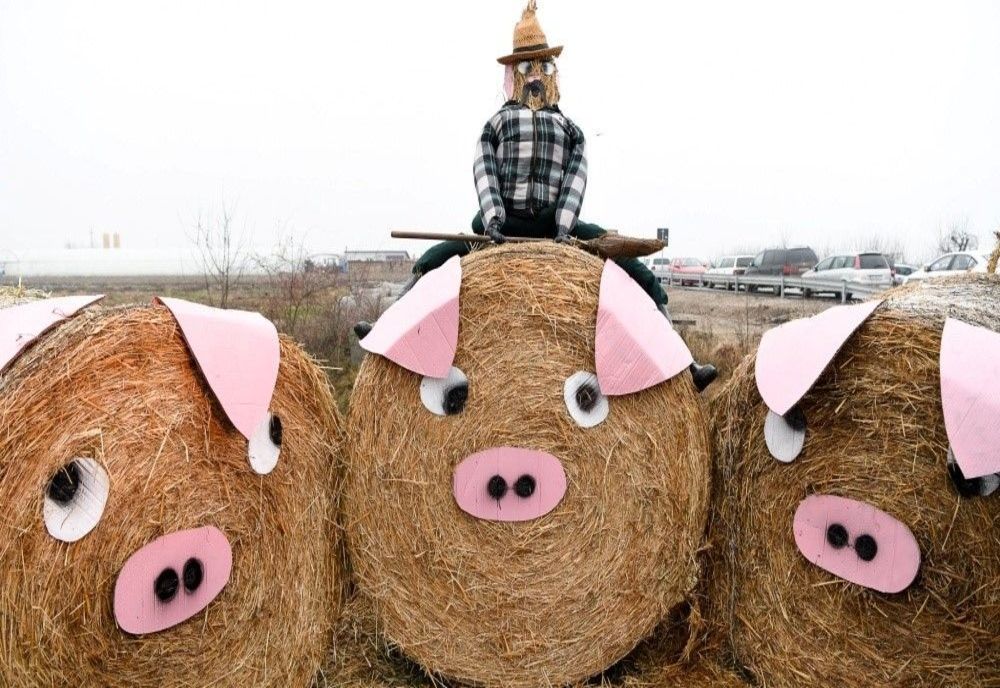 Peste 30 de echipe s-au întrecut la tradiționalul concurs de tăiat porci organizat de UDMR, la Halmeu