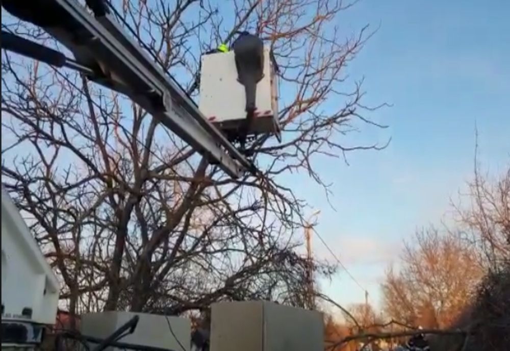 Vântul a doborât copaci și a desprins bucăți de tablă în municipiul Satu Mare