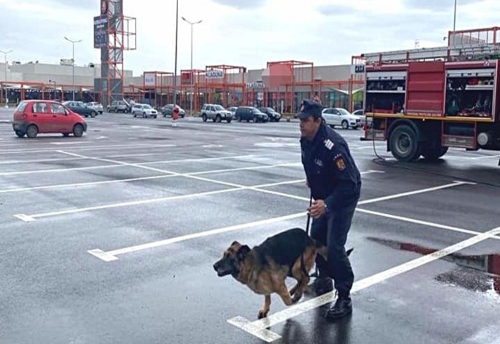 Exercițiu | Câinele Mepa - salvatorul zilei în Satu Mare 