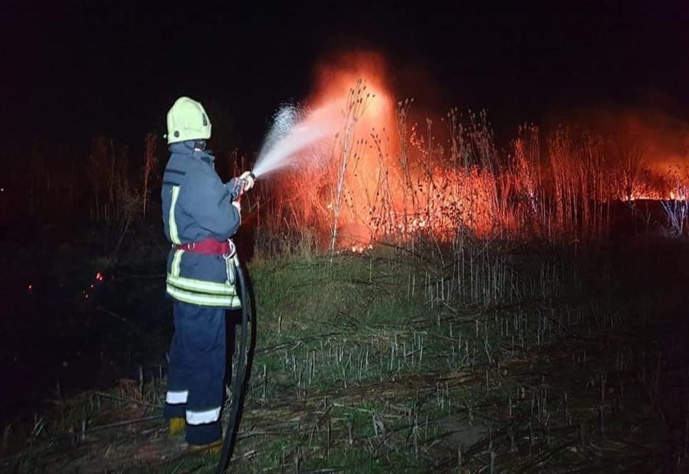 Incendiu de vegetație lângă Satu Mare. O fermă de pui, în pericol