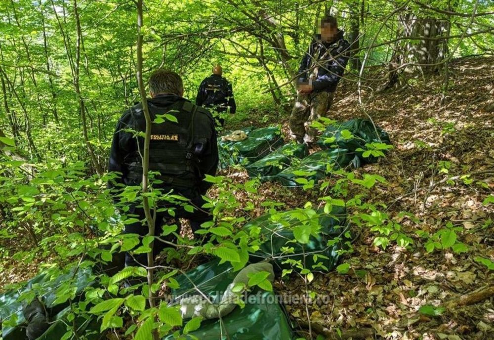 Satu Mare | Foc de armă pentru prinderea unor contrabandiști