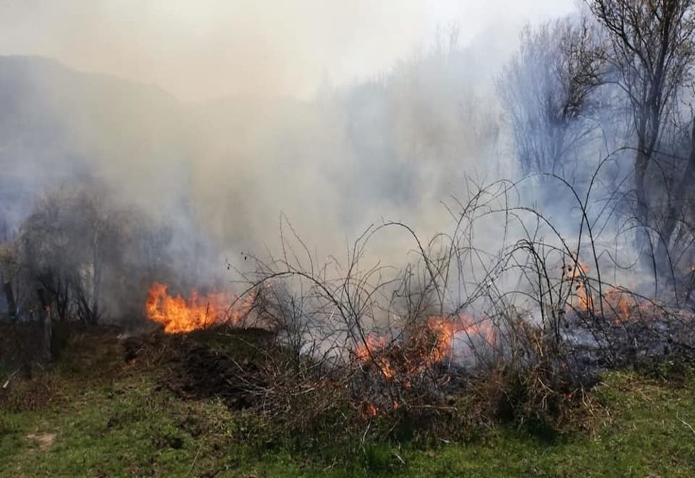 Incendiu de proporții în Țara Oașului, la Luna Șes