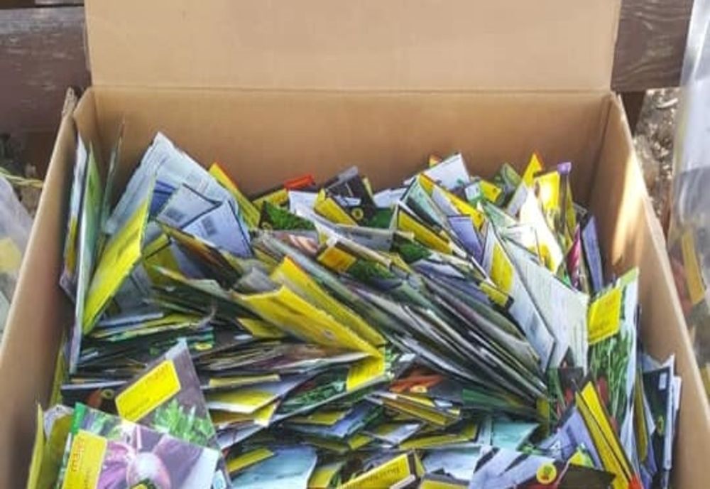 Fundația Maurer continuă să facă fapte bune