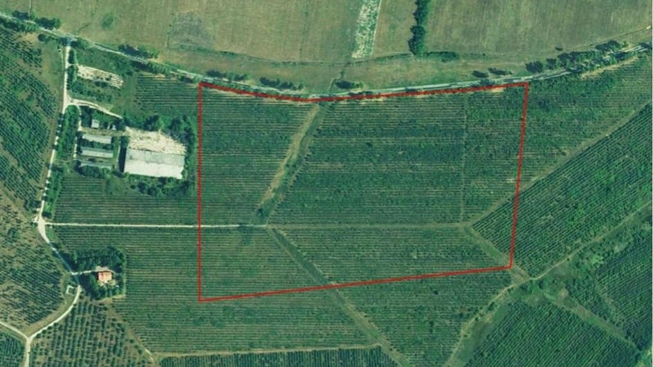 Zonă industrială nepoluantă într-o comună din județul Satu Mare