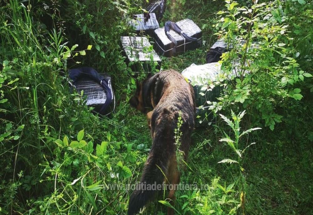 Mai multe colete cu țigări abandonate în județul Satu Mare de contrabandiști ucraineni
