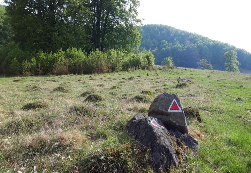 SPJ Salvamont Satu Mare pune la dispoziția turiștilor un nou circuit turistic