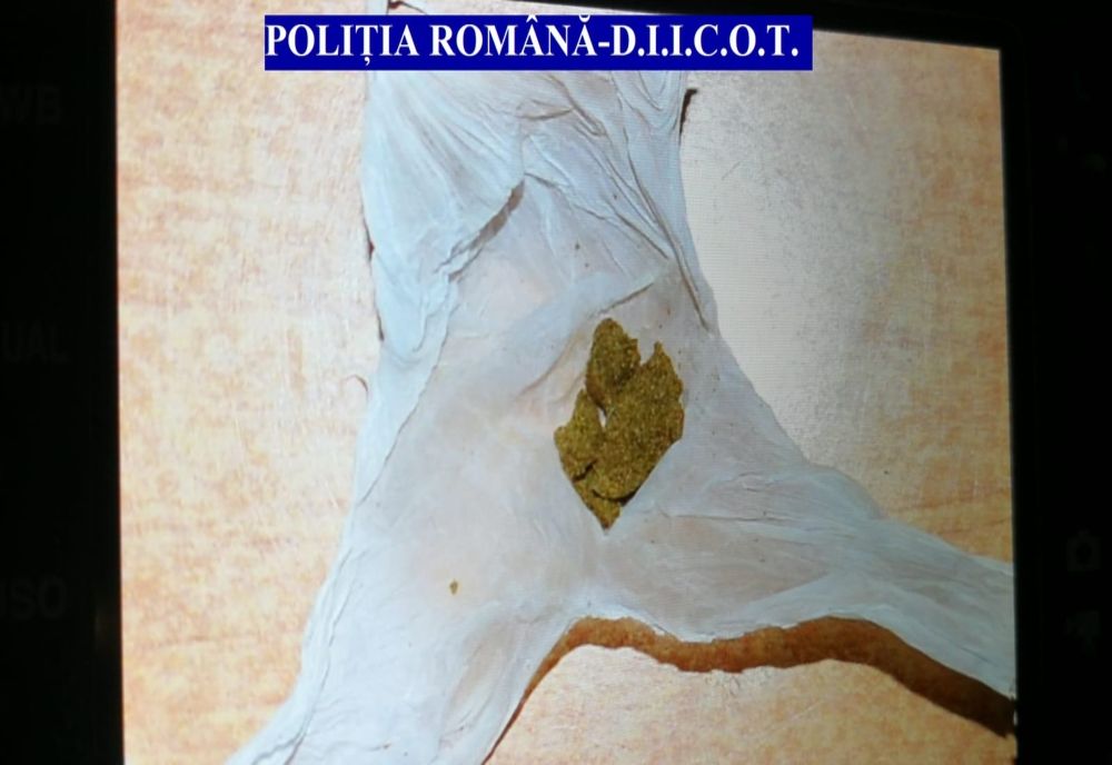 Grupare de traficanți de droguri, destructurată de polițiștii și procurorii DIICOT Satu Mare! Patru persoane reținute
