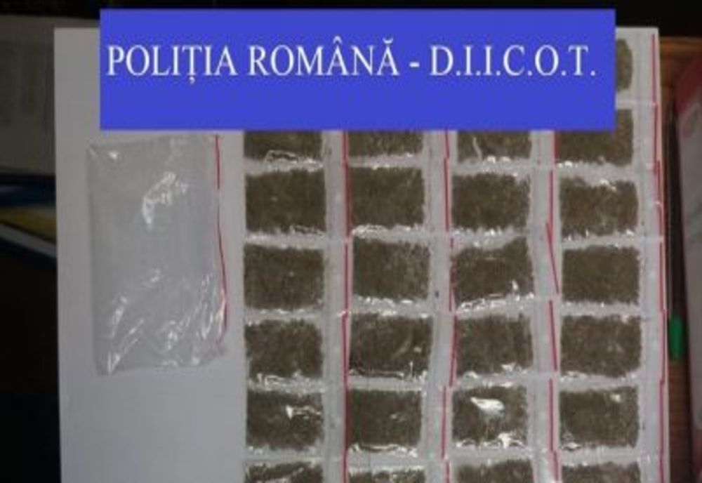 FOTO | Percheziție domiciliară în Satu Mare într-un dosar de trafic de droguri de mare risc