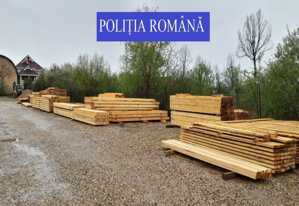 Depozitele de material lemnos, verificate de polițiștii sătmăreni! A plouat cu amenzi