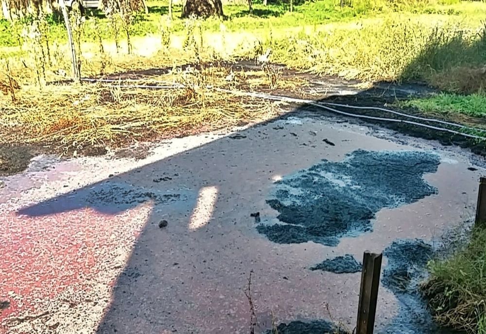 Bărbat din Negrești Oaș, amendat usturător de comisarii Gărzii de Mediu! Vezi motivul