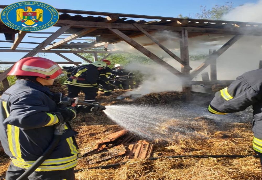 FOTO | Incendiu provocat de copii în Petea! 11 militari au intervenit pentru a stinge flăcările