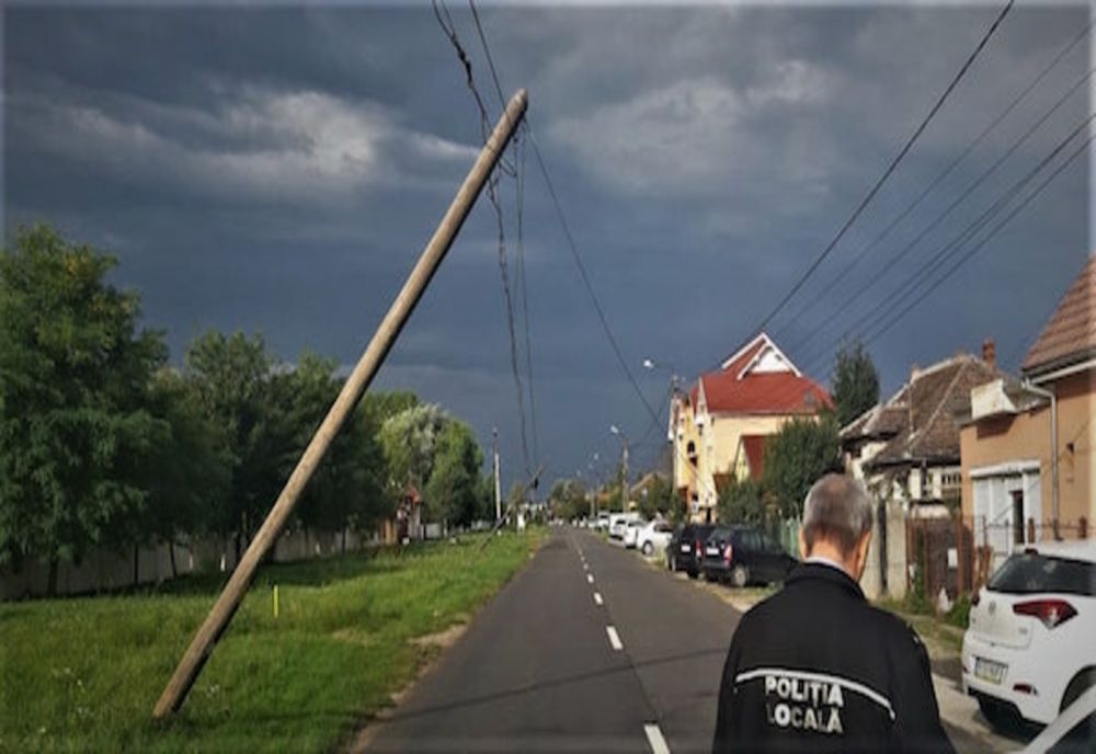Satu Mare: Copaci și stâlpi de electricitate, doborâți, și acoperișuri smulse de vântul puternic 
