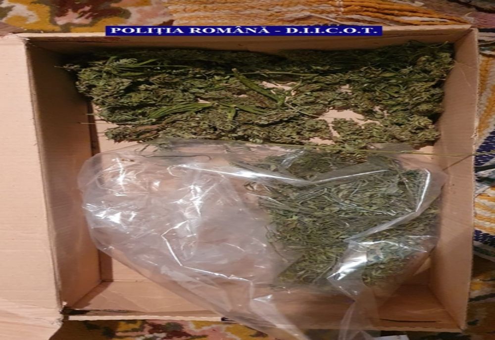 Tânăr din Mesteacăn prins cu 50 de grame de droguri