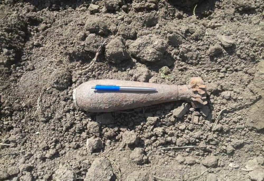 FOTO | Două bombe din Al Doilea Război Mondial găsite într-o gospodărie din Tușnad