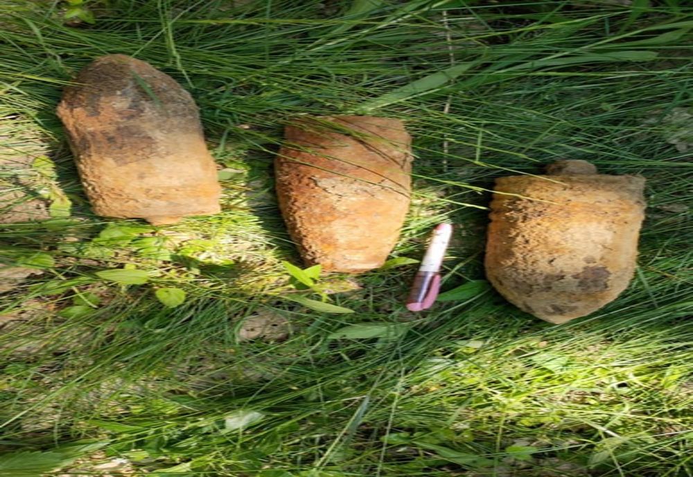 FOTO | 4 proiectile descoperite de un bărbat care se afla la cules de ciuperci într-o pădure din Satu Mare