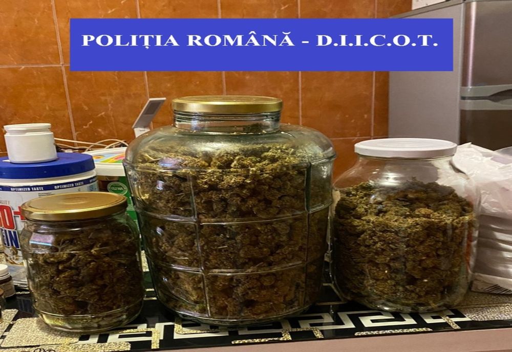 Percheziţii în judeţul Satu Mare într-un dosar de trafic de droguri! Patru persoane au fost reţinute (FOTO)