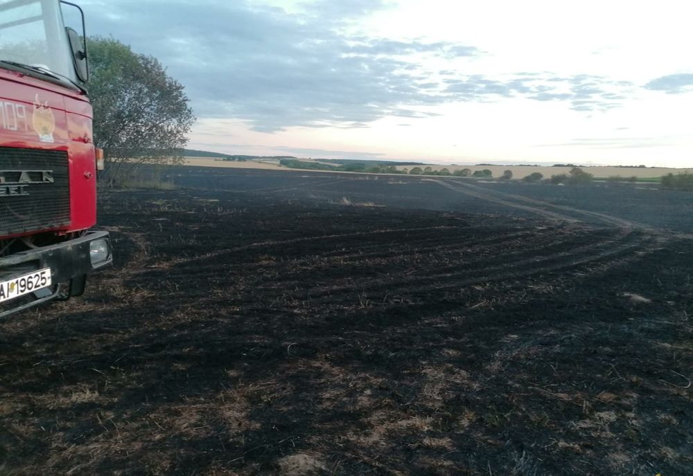 Incendiu de vegetaţie în judeţul Satu Mare! Au ars aproape 50 de hectare (FOTO)