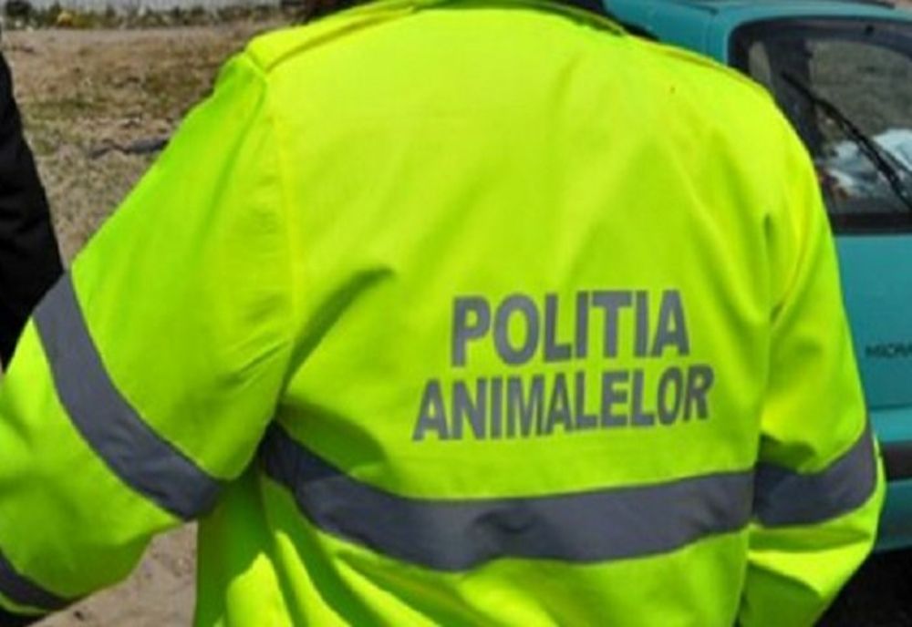 Aproape 300 de amenzi aplicate de Poliţia Animalelor Satu Mare, în doar două luni