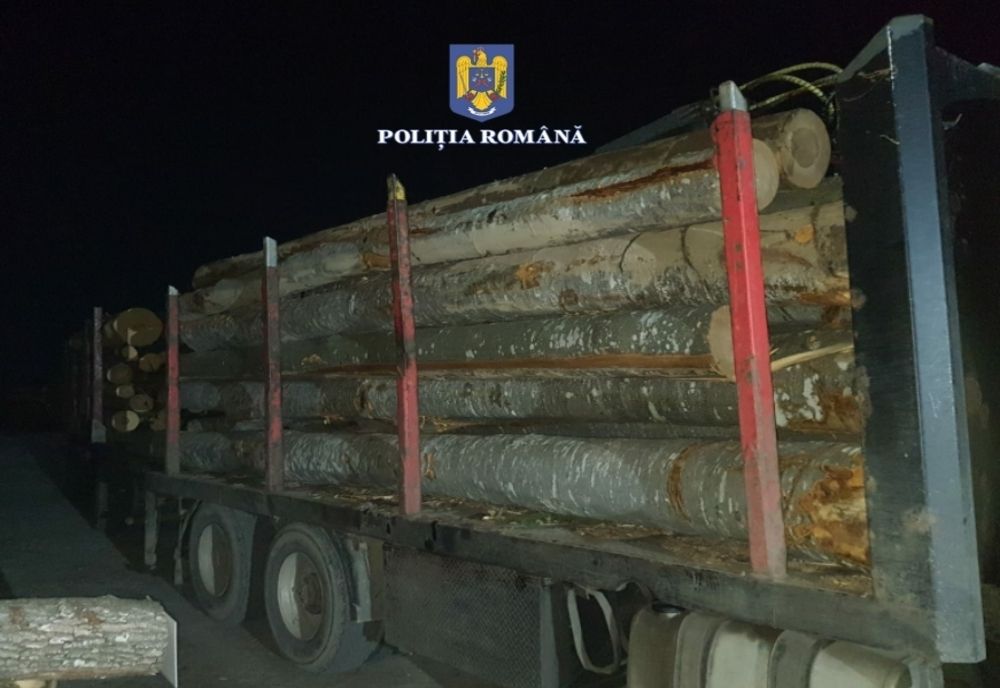 Bărbat din Maramureş prins de poliţiştii din Valea Vinului cu material lemnos fără documente de provenienţă
