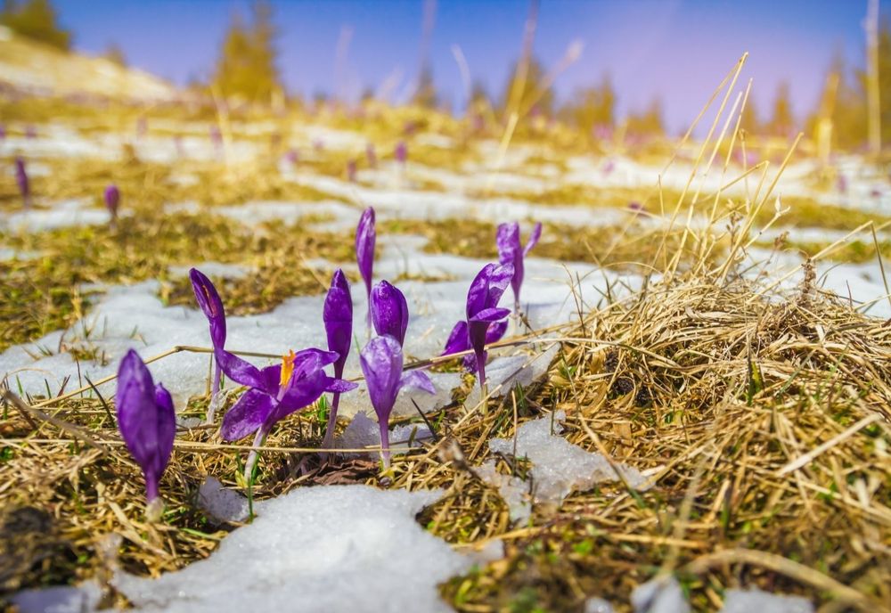 Prognoza meteo 19 februarie. Temperaturi în scădere, în toată țara