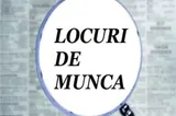 Inspectoratul de Poliție Județean Satu Mare scoate la concurs un post de muncitor calificat