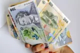 Judeţul Satu Mare primeşte bani pentru finanțarea a 83 de obiective de investiții