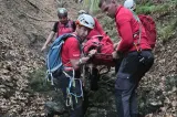 Intervenție Salvamont pentru o înțepătură de viespe: o femeie a avut probleme de respirație pe munte