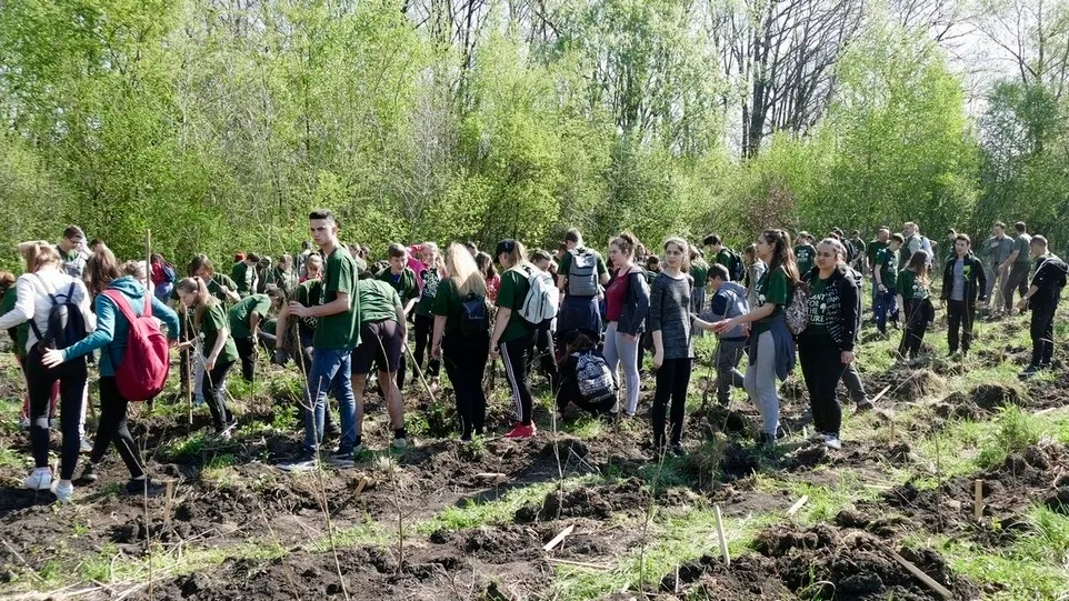 ecoprovocarea