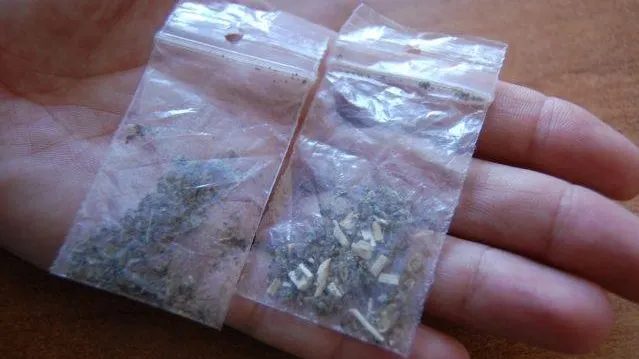 etnobotanice