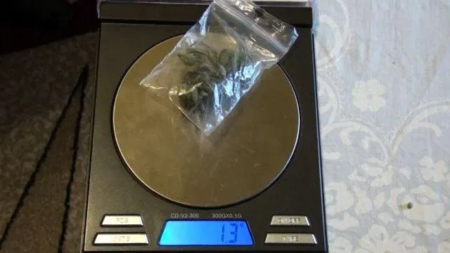 etnobotanice