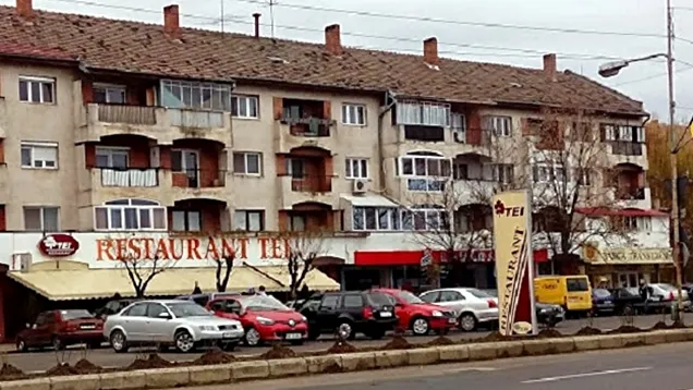 parcare tei
