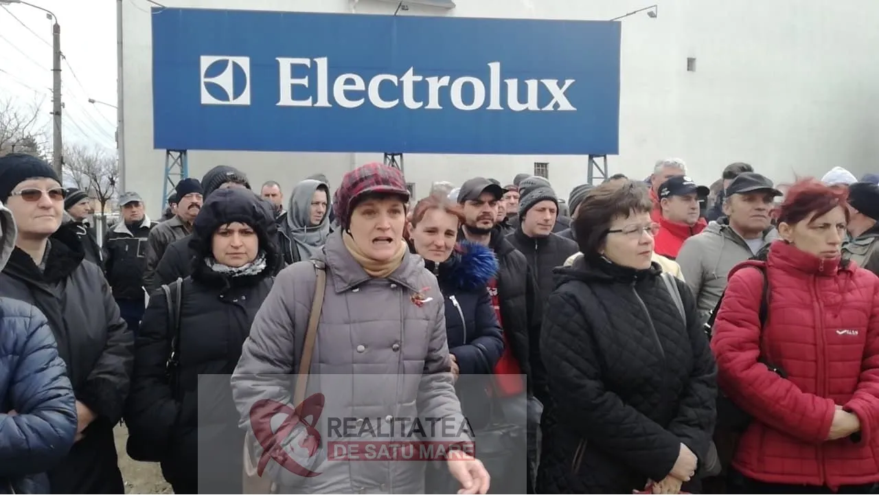 electrolux sm3