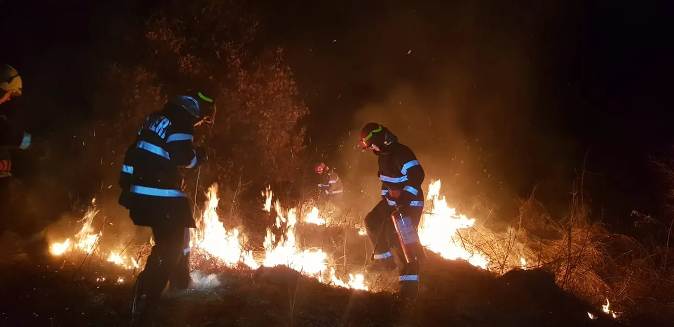 incendii-vegetatie-satu-mare