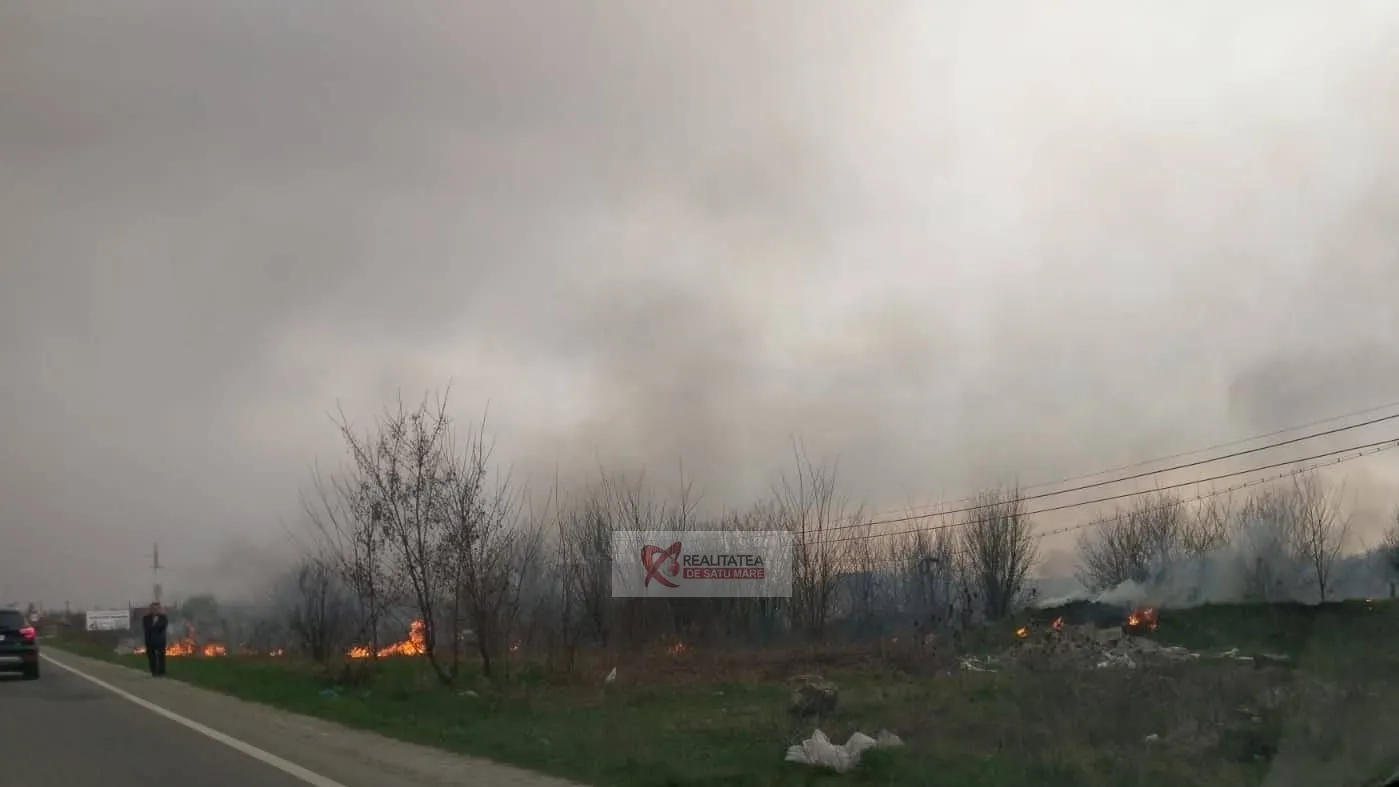 incendiu careiului1