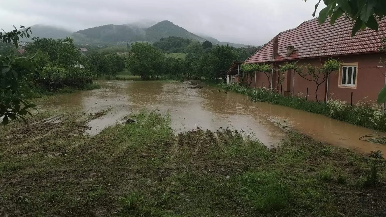 inundatii camarzana