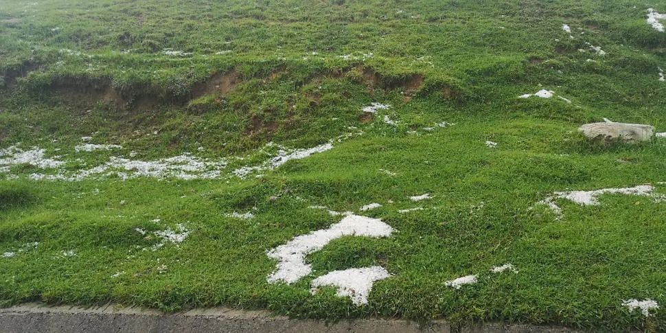 grindina