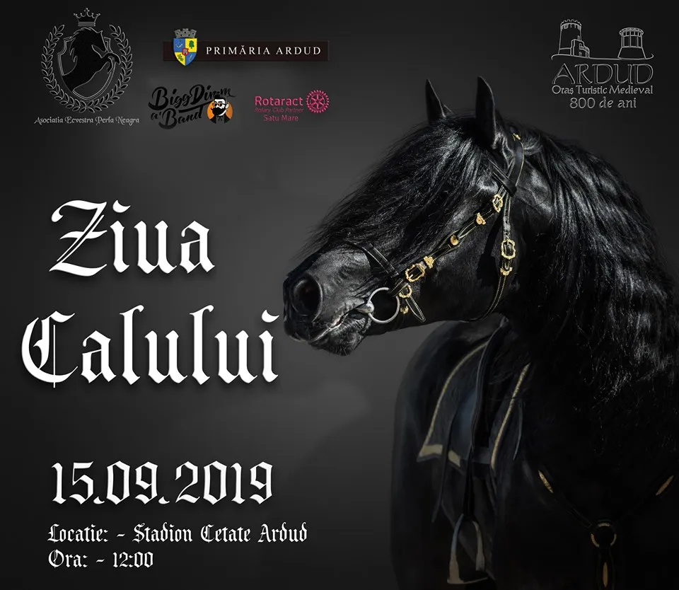 ziua_calului+ardud