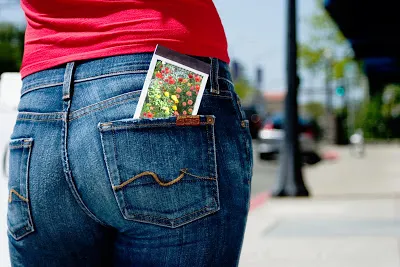Pocket book garden