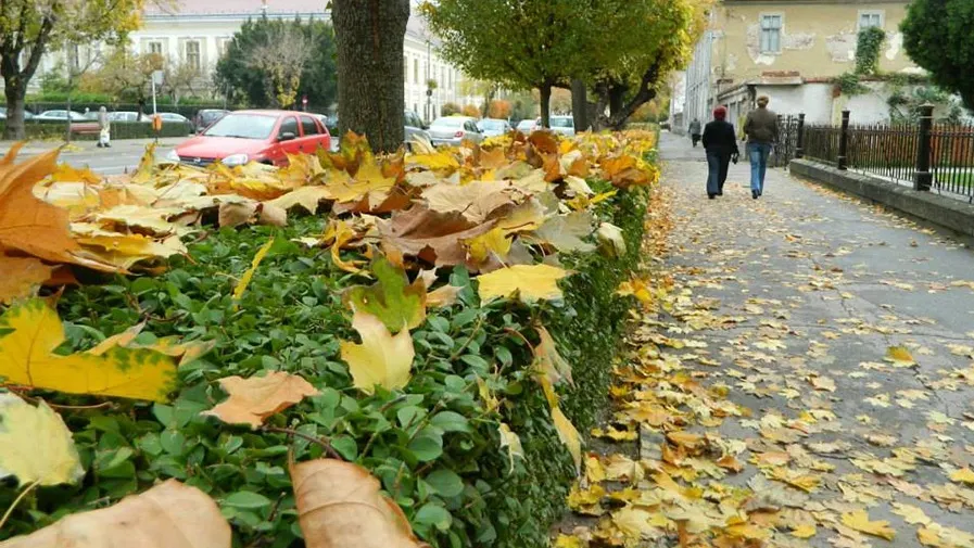 toamna-satu-mare