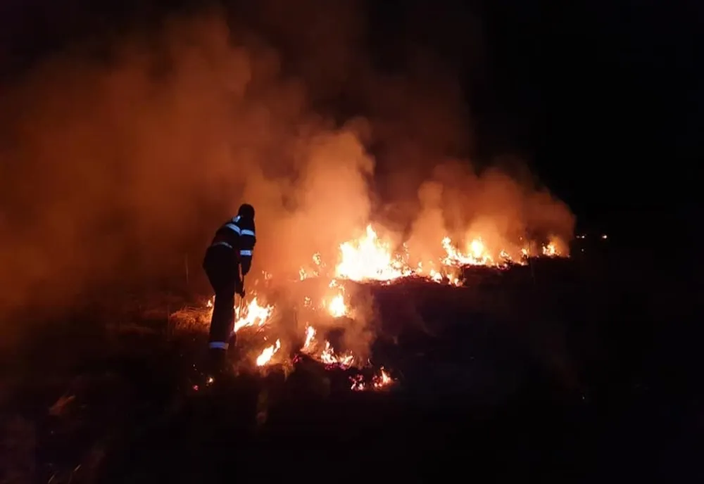 Incendiu puternic în județ: 3 hectare de vegetație uscată, cuprinsă de flăcări