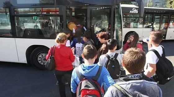 bus