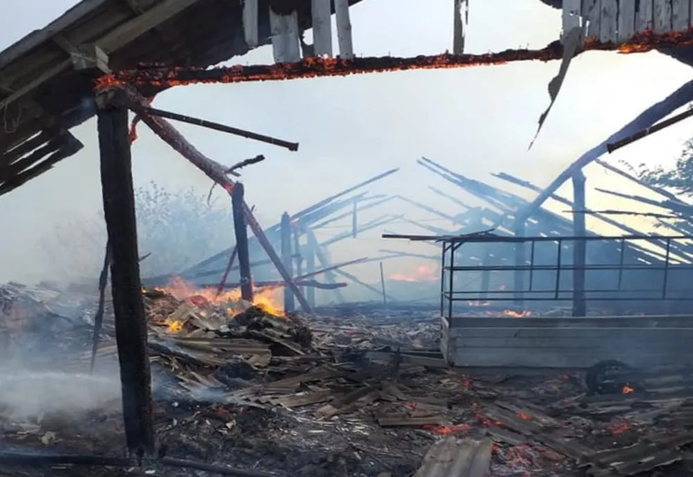 Incendiu puternic izbucnit la un saivan de oi din judeţ