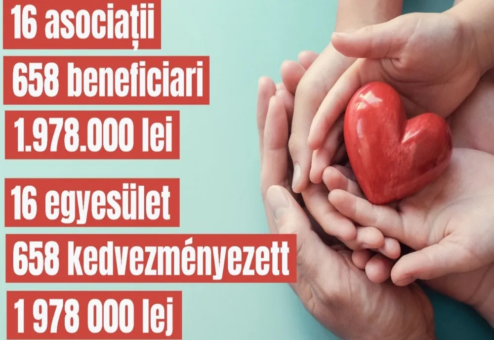 Sprijin pentru serviciile sociale din județul Satu Mare