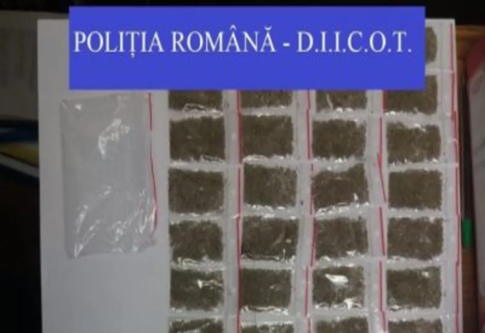 FOTO | Percheziție domiciliară în Satu Mare într-un dosar de trafic de droguri de mare risc