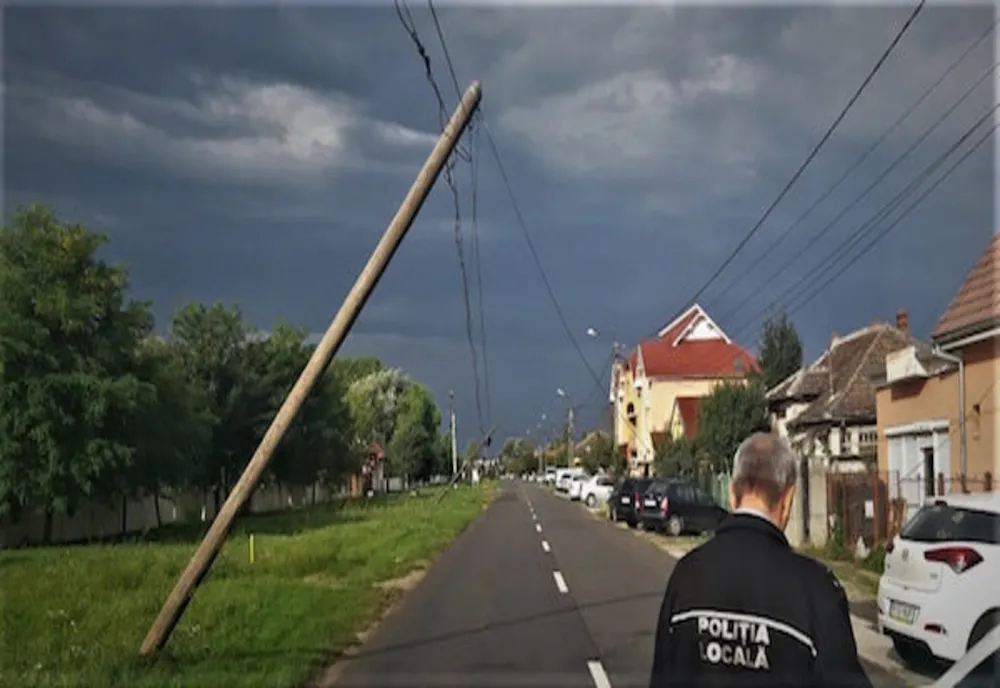 Satu Mare: Copaci și stâlpi de electricitate, doborâți, și acoperișuri smulse de vântul puternic 