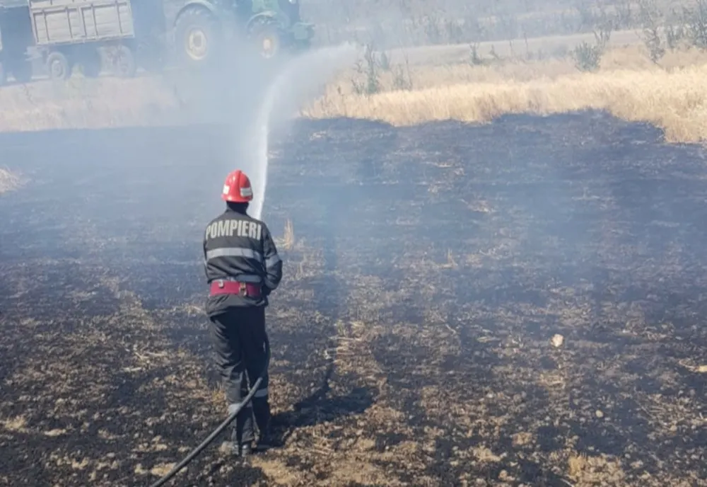 VIDEO | Incendiu la un depozit de rotobaloți din județul Satu Mare